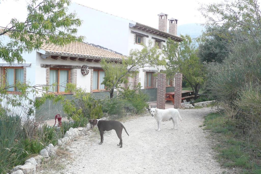 Cabanas Imagina Torres (Jaen) Exterior foto